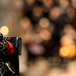 Allerheiligen Stephansdom / Erzdiözese Wien/Schönlaub, Stephan Schönlaub Allerheiligen Stephansdom