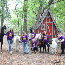 Dies & Das im Therapiehof Regenbogental