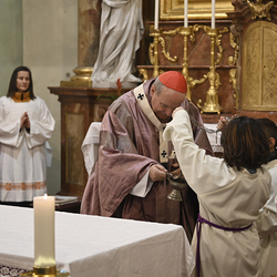 25 Jahre Stadterhebung Gerasdorf / www.markus-goestl.at