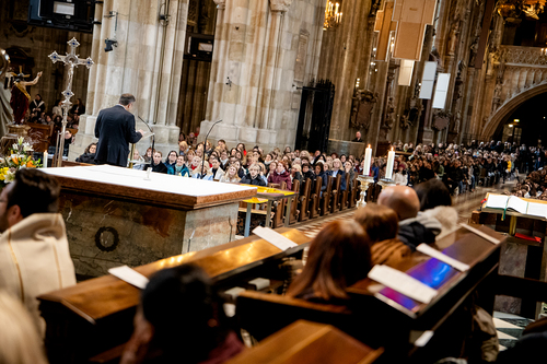 Erzdiözese Wien/Schönlaub