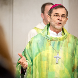 Erzdiözese Wien/Schönlaub