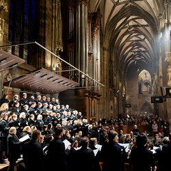 Allerseelen Requiem im Stephansdom / Erzdiözese Wien/Schönlaub, Stephan Schönlaub Allerseelen Requiem im Stephansdom