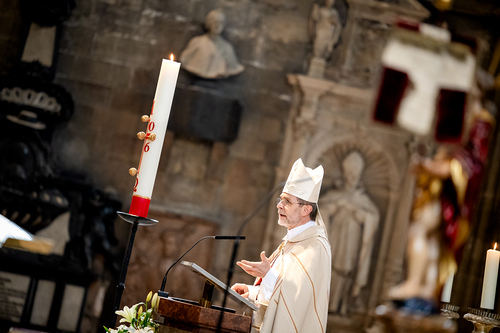 Erzdiözese Wien/Schönlaub